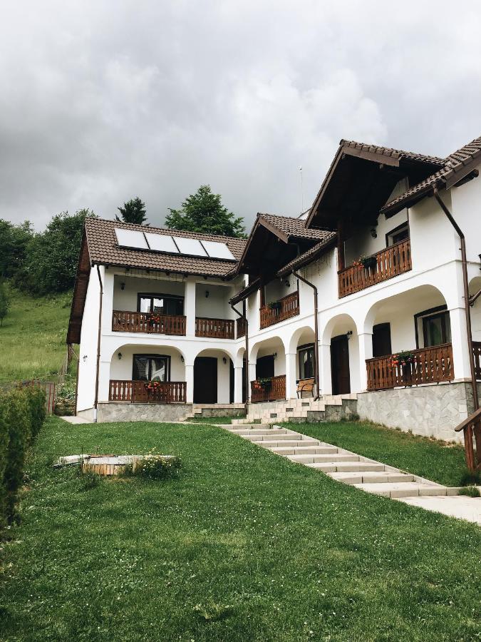 Colibiţa 恩西安旅馆酒店 外观 照片